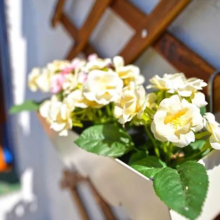 Family Friendly House With A Parking Space - 15147 Murter