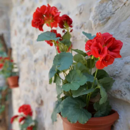 Semesterbostad Family Friendly House With A Parking Space - 15147 Murter