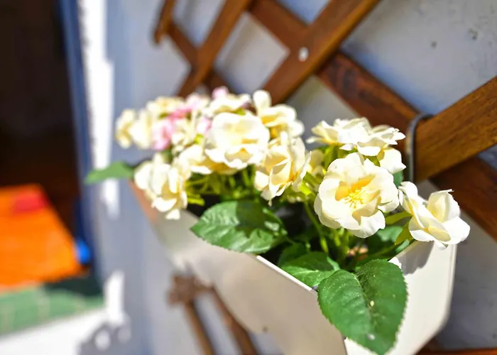 Family Friendly House With A Parking Space - 15147 Murter