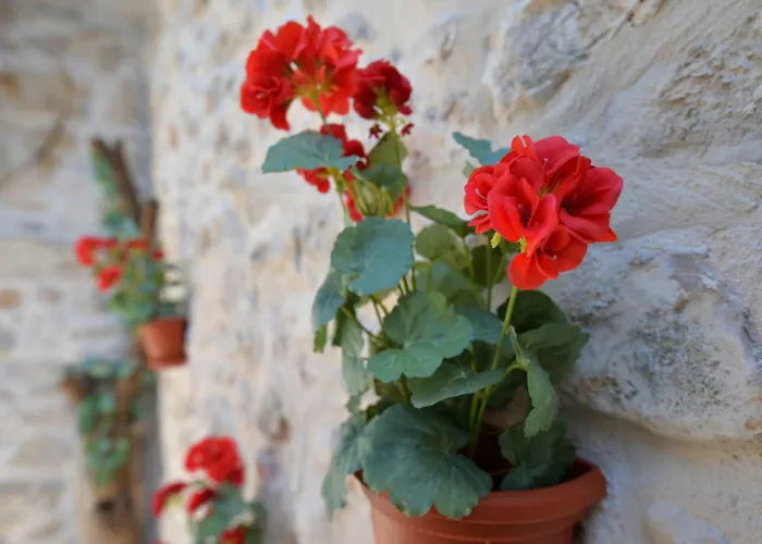 Casa vacanze Family Friendly House With A Parking Space - 15147 Murter